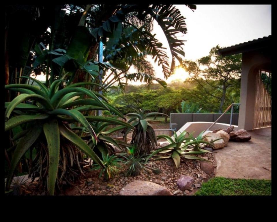 Al Marrakesh Guest House Ballito Esterno foto